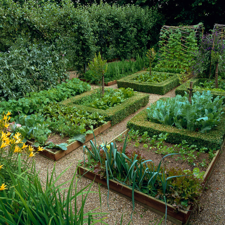 Kitchen Garden Styles