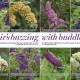 The Garden Magazine, journal of the Royal Horticultural Society thumbnail