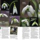 Countryside Magazine thumbnail