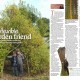 Country Homes & Interiors thumbnail