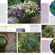 Countryside Magazine thumbnail