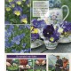 Homes & Gardens thumbnail
