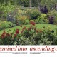 The Garden Magazine, journal of the Royal Horticultural Society thumbnail