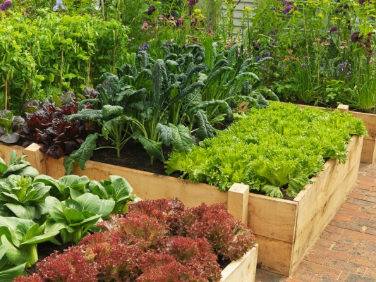 Kitchen Garden Styles