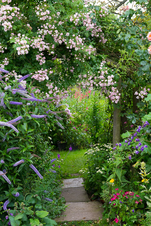 Midsummer Cottage Garden