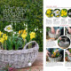 Garden Answers thumbnail