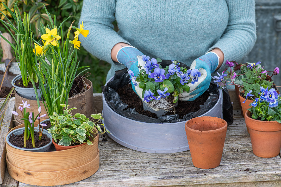 Planting Flour Sieves Step-by-Step – Nicola Stocken